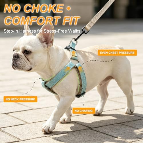 BEAUTYZOO Adjustable No Pull Dog Harness and Leash Set, Linen Style Woven - Image 2