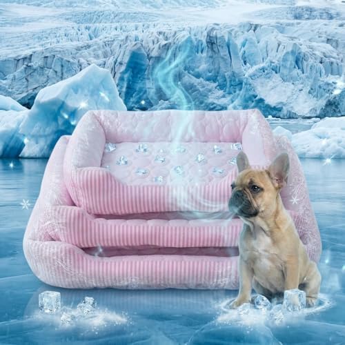 Cooling Dog Bed for Large Medium Small Dogs, Breathable Dog Cooling Mat by Pbed