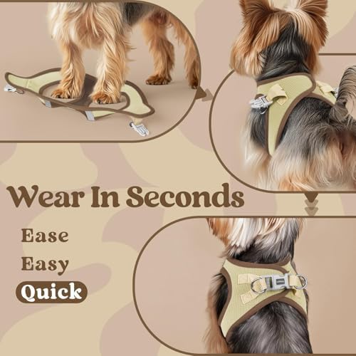 rabbitgoo Step-in Small Dog Harness, Puppy Vest - Image 5