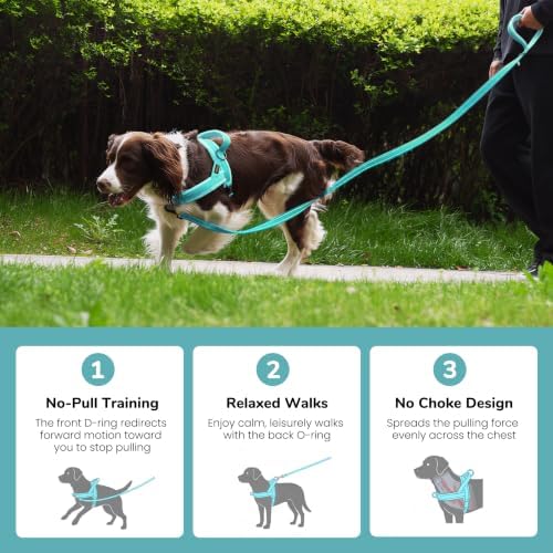 Didog No Pull Dog Harness for Small Dogs, Soft Flannel Padded - Image 4