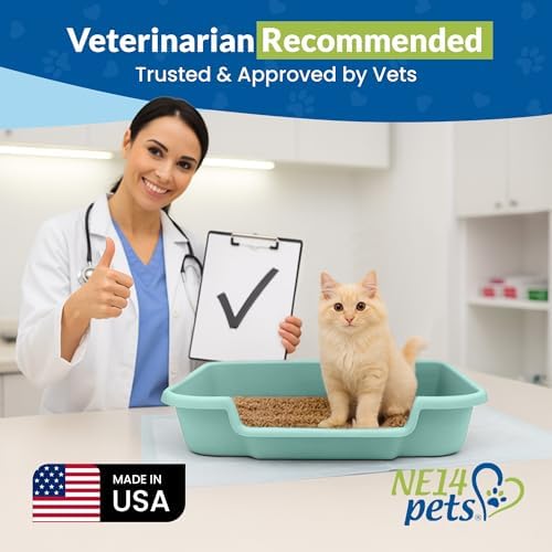 KittyGoHere Senior Cat Litter Box, Large - Image 4