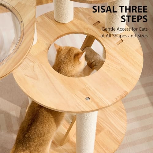 HITTITE Solid Wood Cat Tree Tower - Image 7