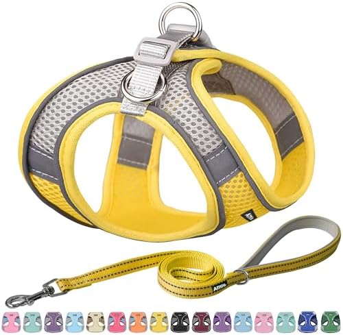 AIITLE Medium Dog Harness and Leash Set, Step-in Puppy Pet Vest by AIITLE-FORPETSBETTERLIFE