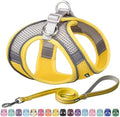 AIITLE Medium Dog Harness and Leash Set, Step-in Puppy Pet Vest by AIITLE-FORPETSBETTERLIFE