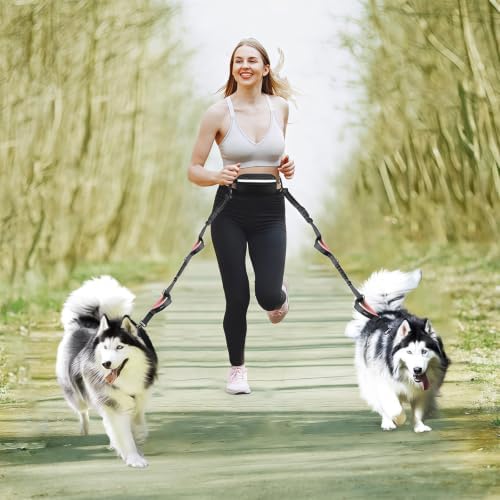 Uppetly Hands Free Dog Running Leash - Image 6