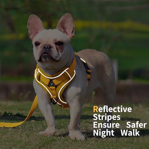 Dog Harness Small Sized Dog Pet Vest - Image 5