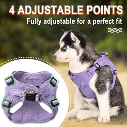 BARKBAY Dog Harness Medium Sized Dog, No Pull Puppy Harness, Step-in Dog Vest - Image 3