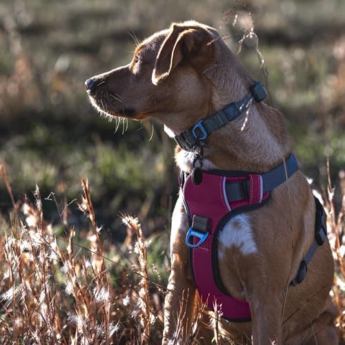 Embark No Pull Dog Harness, Reflective Adjustable Training Vest, No Choke - Image 3
