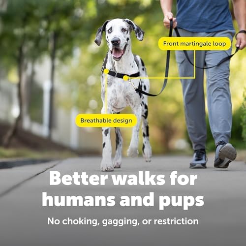 PetSafe Easy Walk Harness, No Pull Dog Harness, Charcoal Gray, Extra Large - Image 4