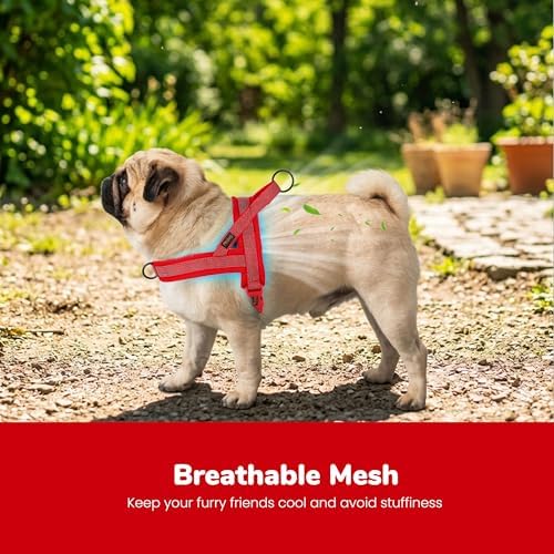 Didog No Pull Dog Harness for Medium Dogs, Breathable Mesh Padded - Image 2