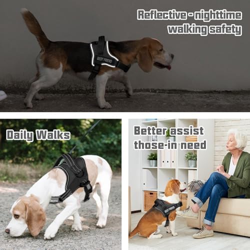 AUROTH Dog Harness and Leash Set Small Sized Dog, No Pull Escape Proof Vest - Image 2
