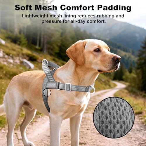 No Pull Dog Harness with Handle, Adjustable Soft Mesh Padded Vest - Image 4