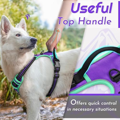 Eagloo Dog Harness for Medium Sized Dogs, No Pull Vest - Image 4