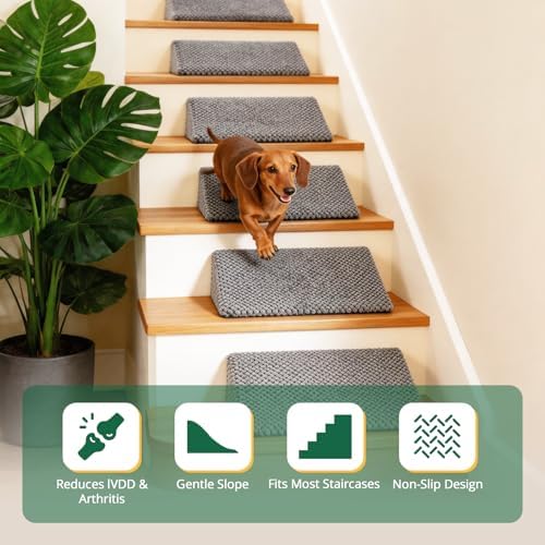 Dog Ramp for Stairs with Non-Slip Bump for Small & Senior Dogs Cats 2 Pack - Image 4