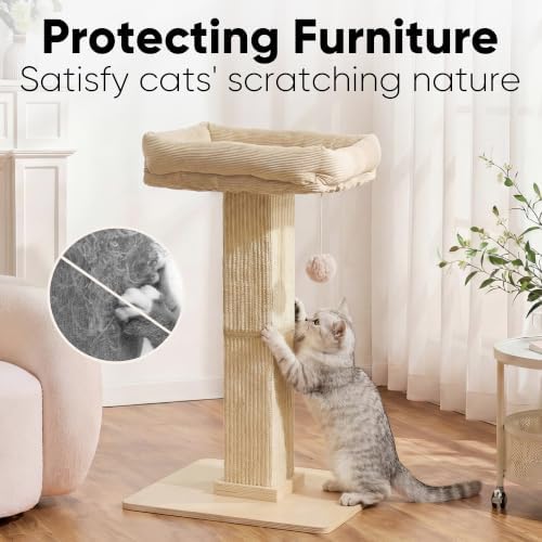 FUKUMARU Retro-Style Cat Scratching Post - Image 4