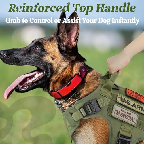 rabbitgoo Tactical Dog Harness for Medium, Heavy Duty Military No Pull Vest - Image 3