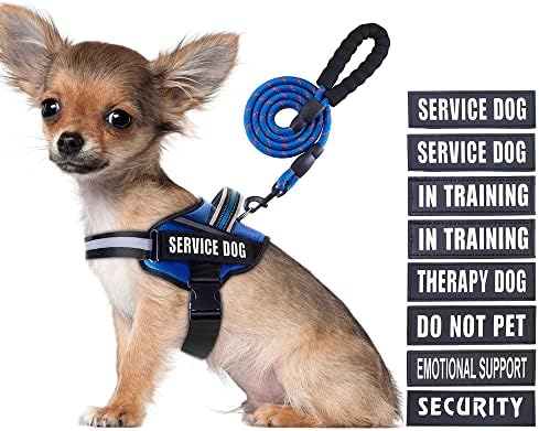 Service Dog Vest Harness and Leash Set, Animire in Training Dog Harness by Animire