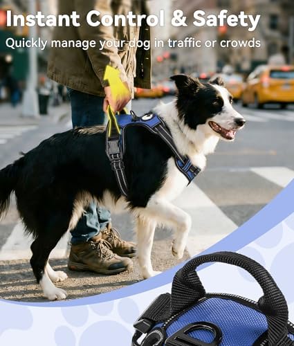 Joytale No Pull Dog Harness for Extra Large Dogs, Front Clip - Image 3