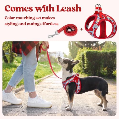 rabbitgoo Dog Harness Small Sized and Leash Set, Step-in Puppy Pet Vest - Image 6