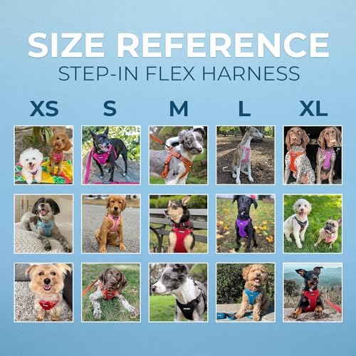 Voyager Step-in Flex Adjustable Dog Harness - Image 6