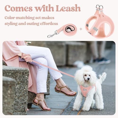 rabbitgoo Dog Harness Small Sized and Leash Set, Step-in Puppy Pet Vest - Image 5