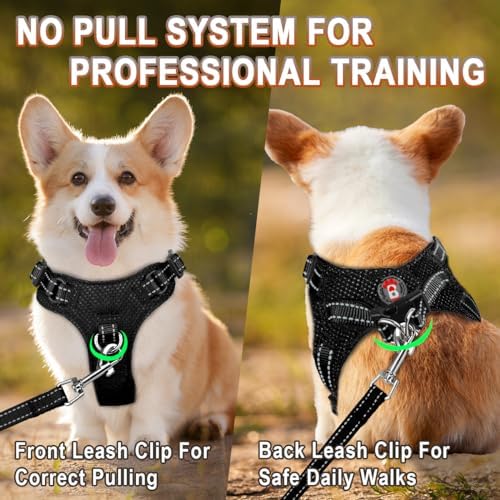 BARKBAY Small Dog Harness, No Pull Puppy Harness, Step-in Dog Vest - Image 5