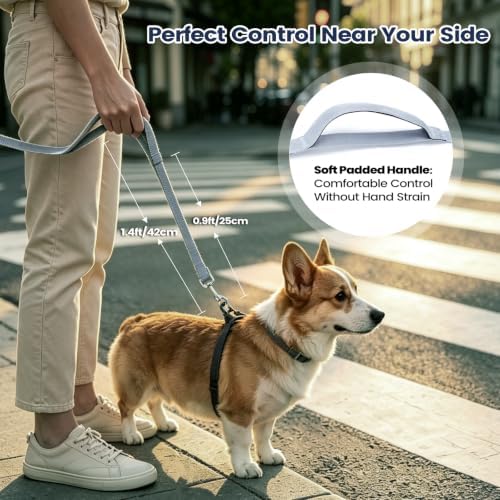 Hands Free Dog Leash, Crossbody Waist Dog Leash, Small Medium Dog Walking - Image 5