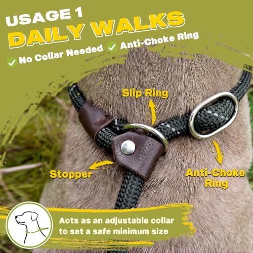 Fida Durable Slip Lead Dog Leash, 6 FT x 1/2" Dog Training Leash - Image 4