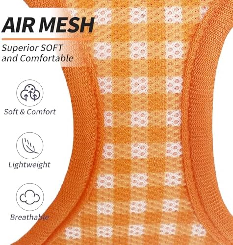 AIITLE Step in Small Dog Harness and Leash Set, Puppy Pet Vest - Image 6