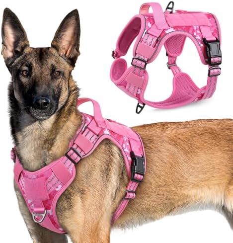 rabbitgoo Tactical Dog Harness for X-Large, No Pull Military Service Vest by rabbitgoo