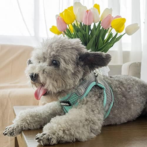 AIITLE Dog Harness and Leash Set, Step-in Puppy Pet Vest, Turquoise L - Image 5