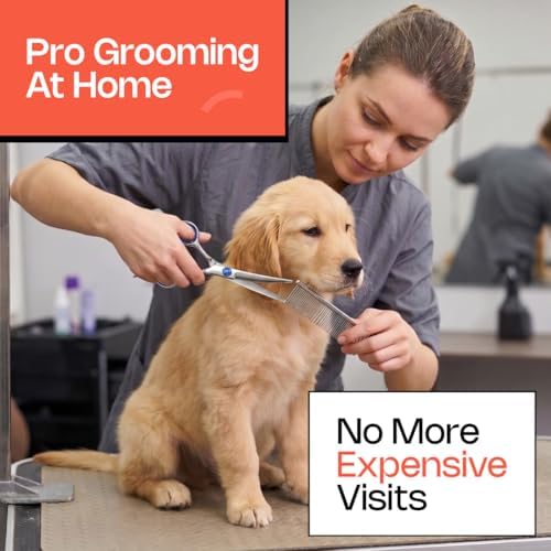Stainless Steel Dog Grooming Scissors Kit - Image 2