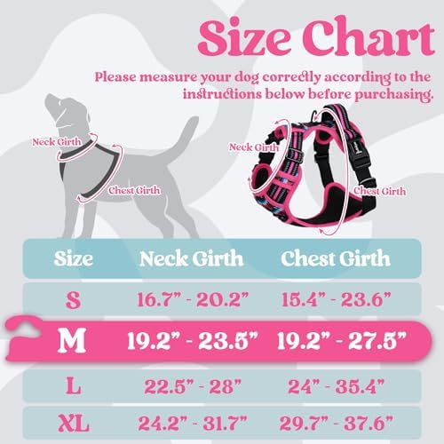 rabbitgoo Dog Harness Medium Sized, Updated Easy On & Off - Image 2