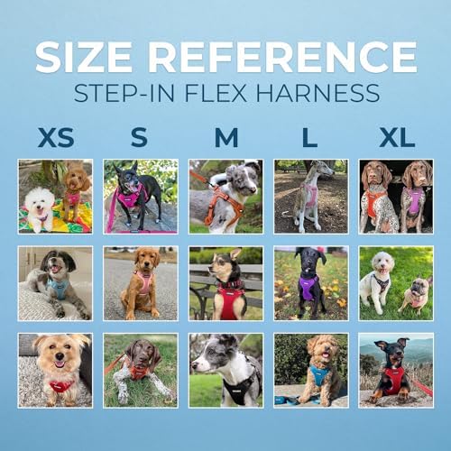 Voyager Step-in Flex Adjustable Dog Harness - Image 6
