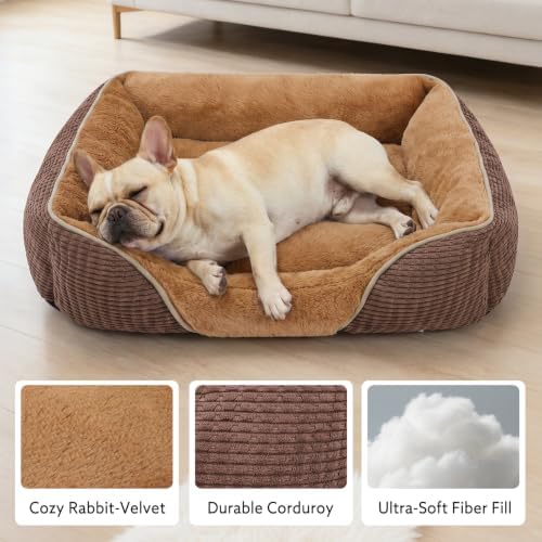 MIXJOY Dog Beds for Small Dogs, Cat Beds for Indoor Cats Washable, Calming Pet - Image 3