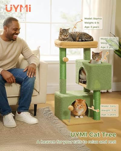 Small Cat Tree for Kittens, 32 in Cat Tower - Image 2