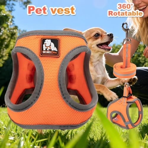 Dog Harness Medium Sized Dogs, Puppy Harness and Leash Set - Image 5