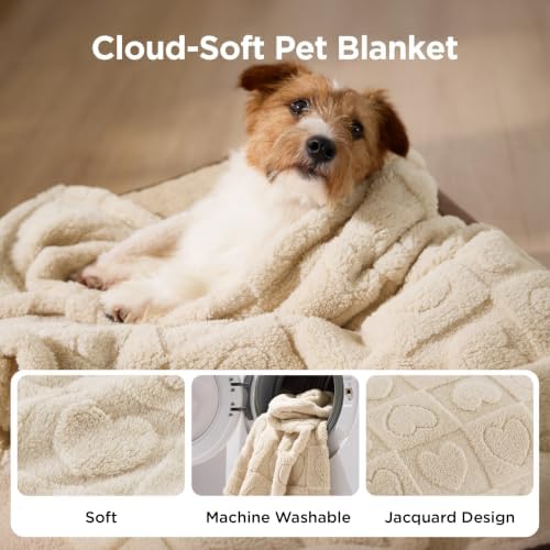 Bedsure Dog Blanket for Small Dogs Puppy and Cats, Soft Fleece, 25x35 inch - Image 2