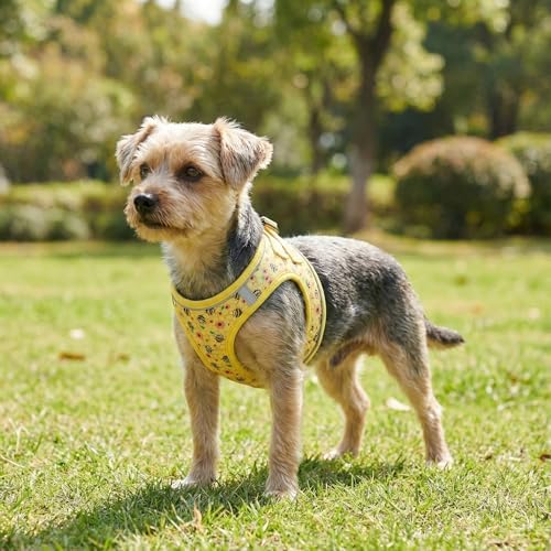 Mihqy Step in Dog Harness and Leash Set, Soft Breathable Mesh - Image 5