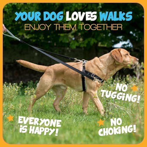 2 Hounds Design Freedom No Pull Dog Harness, 1 inch MD - Image 5