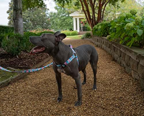 Country Brook Petz - Image 3