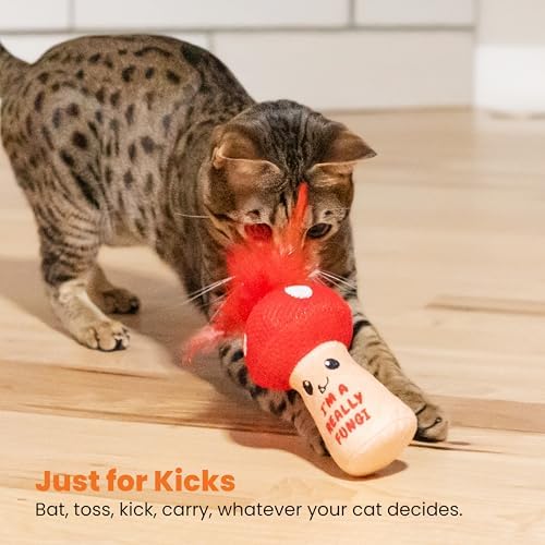 Catstages A Really Fungi Mushroom Interactive Cat Kicker Toy - Image 6