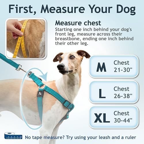 Kruz No Pull Dog Harness Heavy-Duty Pet Harness - Image 3