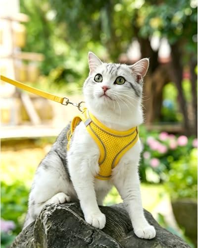 XXS Yellow Soft Mesh Dog Harness and Leash Set, No Escape Puppy Harnesses - Image 2