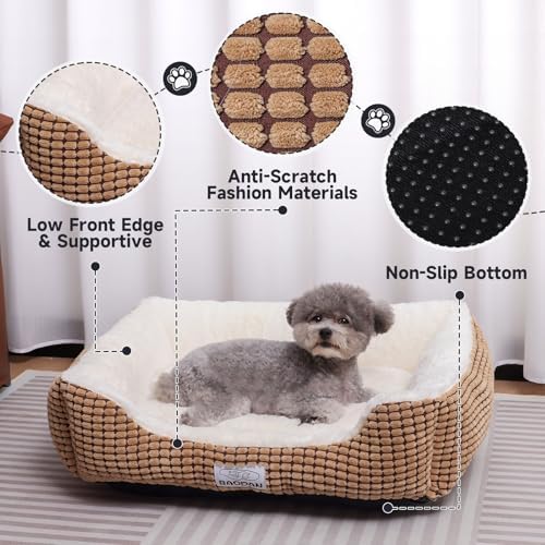 Small Dog Bed for Small Dogs, Cat Beds for Indoor Cats Washable, Rectangle Dog - Image 4