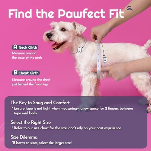Eagloo Small Dog Harness and Leash Set, Step in Medium Small Puppy Pet Vest - Image 2