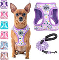 BEAUTYZOO Small Dog Harness and Leash Set, No Pull Puppy Pet Vest-Floral by BEAUTYZOO