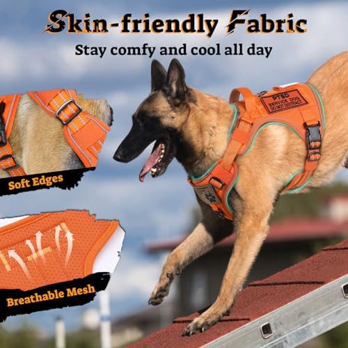 rabbitgoo Tactical Dog Harness Medium Sized, No Pull Service Pet Vest - Image 6