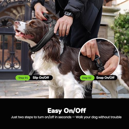 Didog No Pull Dog Harness for Small Dogs, Breathable Mesh Padded - Image 4