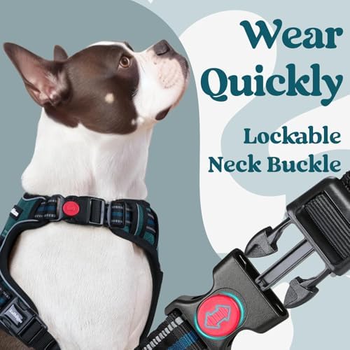 rabbitgoo Dog Harness for Large, Updated Easy On & Off - Image 2